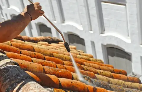 Nettoyage de toitures - Curciat-Dongalon